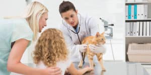 featured does my cat need to see the vet