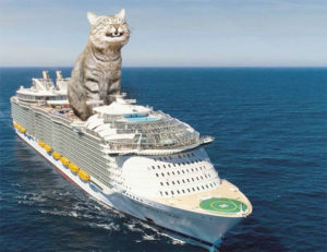 Join Our Cataholic Cat Cruise aboard the Carnival Ship Conquest!