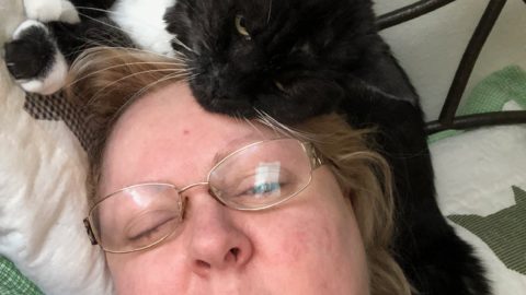 ritaandpunkinkitty scaled