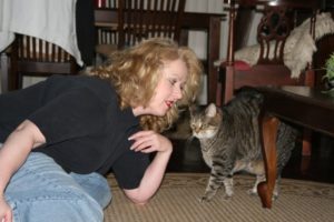 cat scratching solutions