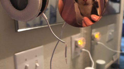 badcheweroliver scaled