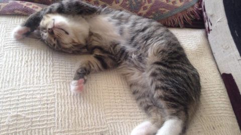 shhhbabysimonsleeping