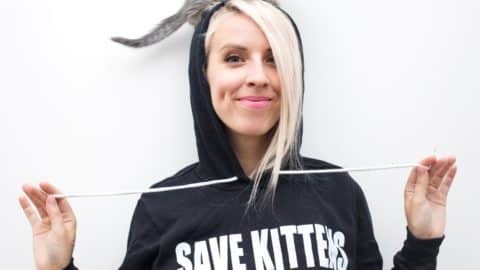 kittenladyhannahshaw