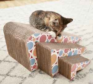 cat scratching on scratching toys