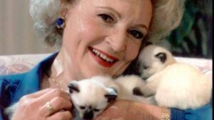 bettywithkittens betty white with kittens