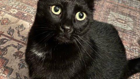 AD A E AD D B A E D E a