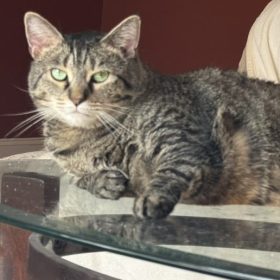 D E AE DED FC A BD E c