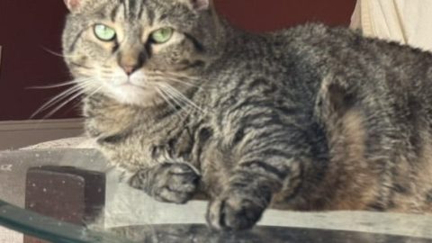 D E AE DED FC A BD E c