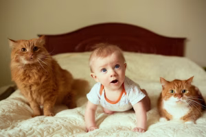 cats and babies