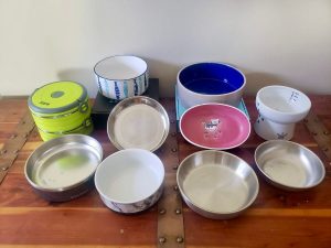 catwaterbowls