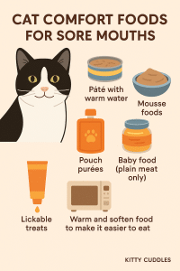 CatFoodforSoreMouths