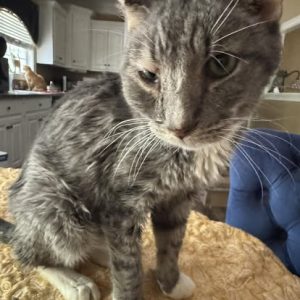 Mouth pain was caused by an abscess