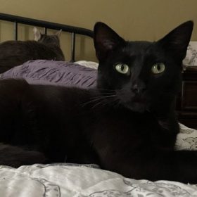 E A DEC D BD ACB F c