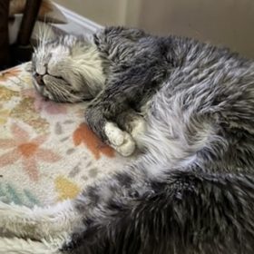 FD F F A BA F B CE c