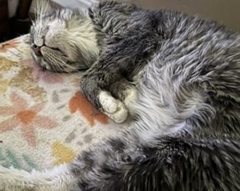 FD F F A BA F B CE c