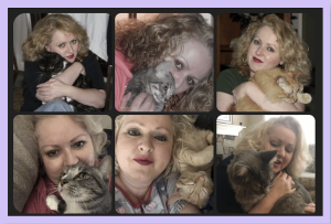 cat behaviorist rita reimers