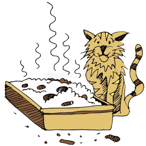 What Cats Hate About Litter Boxes