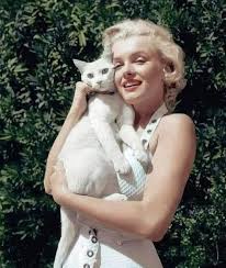 Marilyn Monroe and her cat