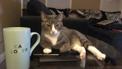PinkyandMug